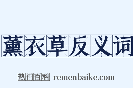 薰衣草反义词是什么意思的图片